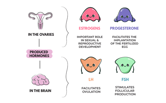 Holistic Approaches to Hormone Health: Balancing Hormones Naturally Through Nutrition and Lifestyle