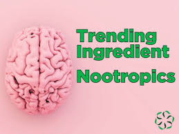 Nootropics and Cognitive Function: Enhancing Mental Clarity and Memory with Natural Supplements