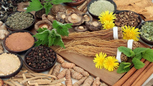 Adaptogens and Stress: Unpacking the Science Behind Nature’s Stress Busters