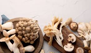 Mushroom Medicine: The Power of Functional Mushrooms in Wellness