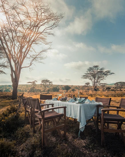 Africa Safari retreat destination for luxury wellness and training by Top Celebrity London Personal Trainer Aimee Victoria Long 